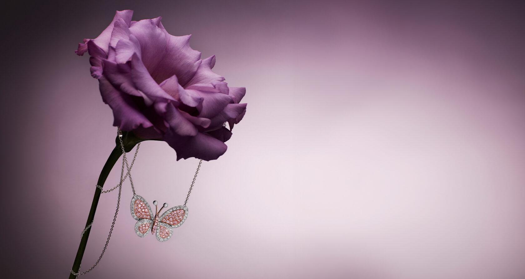 Argyle Pink™ Butterfly Pendant elegantly draped over a pink rose.